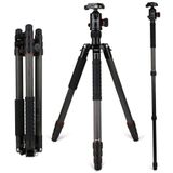 FotoPro X-Go Plus 1575 mm Siyah Profesyonel Tripod