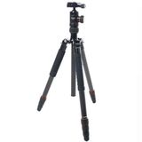 Fotopro X-Go Plus Carbon Fiber Tripod