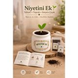 FourClovers “Niyetini Ek – Sürpriz Tohumlu Beton Saksı (Dekoratif Mini Çiçek Kiti)”Hediyelik set