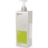 Framesi Morphosis Balance 1 lt Şampuan