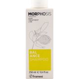 Framesi Morphosis Balance Şampuan