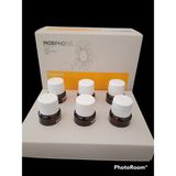 Framesi Morphosis Repair Saç Serumu 6x15 ml