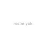 Franke Basis Granit BFG621 Renkli Eviye