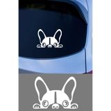 Fransız Bulldog Resmi Oto Araba Cam Sticker Çıkartma Bilgisayarlar,kamyonlar, Motosikletler Için