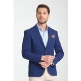 Frappoli Arunte Erkek Parlement Keten Görünümlü Ince Dört Mevsim Giyilebilir Slim Fit Blazer Ceket