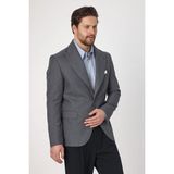 Frappoli Classo Erkek Gri Slim Fit Sivri Yaka Kendinden Desenli Blazer Ceket - 56 - 6 Drop