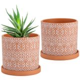Frcctre Bitkiler için 2 Paket Terakota Saksısı, 12,7 cm Drenaj Delikli ve Tabaklı Sukulent Saksısı, İç Mekan Bitkileri için Kil Saksısı, Kaktüs, Sukulent, Otlar