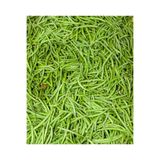 FREE Doğal Taze Börülce 1 kg
