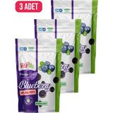 Freeze Dried Blueberry 20 Gram - Dondurularak Kurutulmuş Çıtır Yaban Mersini Atıştırmalık 3 Adet