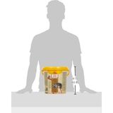 Frefly Store 10 Lt Kova Içinde 1.7 kg Raffy P Kaplumbağa Yemi