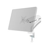 Frefly Store 17-34” Monitör Standı, Maksimum 10 kg Ağırlık