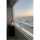 Frefly Store 2.20 x 3 Metre Beyaz Balkon, Kedi ve Kuş Filesi