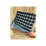 Frefly Store 2 Adet 45 Göz Fide Viyolü + Derinlik 5 cm Tepsisi Viyol Altlığı SIYAH,11456456