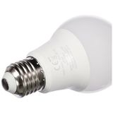 Frefly Store 40W Beyaz Işık LED Ampul, E27 Duy, 6500K Aydınlatma Çözümü