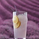 Frefly Store 570CC Kapasiteye Sahip 6'lı Bira Bardağı Seti - 00-Siyah - Beyaz