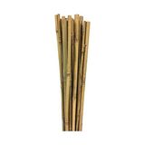 Frefly Store 63712 Bambu Destek Çubuğu 10'lu - 8-10 mm x 90 cm