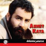 Frefly Store Ahmet Kaya Dokunma Yanarsın Plak Lp - Altın