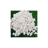 Frefly Store Beyaz Dolomit Taş 25 kg 1,5-2 cm Dere Çakıl Taşı Bahçe Süs Saksı Teraryum Akvaryum
