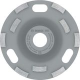 Frefly Store Bosch Professional Accessories 2608601763 Elmas Taşlama Diski Expert Açılı Taşlama Makinesi (Beton Için, Taşlama Diski: 125, Delik Çapı: 22,23 Mm, Beton Bileyici Için Aksesuar) - Ahşap