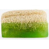 Frefly Store Dionesse Kabak Lifli Aloe Vera Sabunu 100% Doğal | Tüm Cilt Tipleri Için Derinlemesine Temizlik ve Peeling - 10 Adet