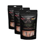 Frefly Store Füme Somon Köpek Ödülü 170 gr (3 Paketi)