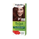 Frefly Store Kalıcı Doğal Renkler 3-68 Kızıl Çikolata Goji Berry Özü & Yulaf Çekirdeği Özlü Saç Boyası