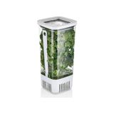 Frefly Store Kare Yeşillik Saklama Kabı, 1700 ml