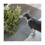 Frefly Store Kedi Kovucu Paspası, Dikenli Kazık Durdurucu Dikenli Şerit Kedi Hayvanı Dikenli Kovucu Engelleyici Paspası Açık Bahçe Bitkileri Çit Için, 13X49CM, Siyah