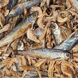 Frefly Store Kurutulmuş Balık ve Karides, 750 G, Kaplumbağalar Için Uygun