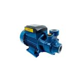 Frefly Store QB60 Elektrikli Su Motoru 0.5hp 1 Inç Bahçe Pompası Su Pompası 2 Yıl Garaantili Ürün... - 10