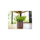 Frefly Store Zahra Seramik Pembe Saksı 14X13CM