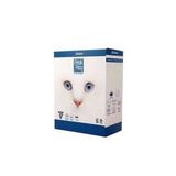 Fresh Paty Clinic Kokusuz Kedi Kumu 6 Lt