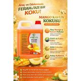 Freyr Mango Kavun Oda ve Oto Koku Parfümü 5 Litre | Sprey Araba Araç İçi Ev Ortam Kokusu - 5 lt