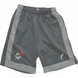 Freysport Basketbol Şortu Erkek Antrasit Gri Relaxed Fit Beli Lastikli Polyester Kumaş - Antrasit - Gri - 5XL