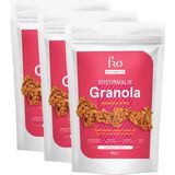 Fro 3'lü Atıştırmalık Granola Vegan Glutensiz Şekersiz Atıştırmalık Sağlıklı Ara Öğün Granola - 150 gr