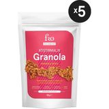 Fro 5li Atıştırmalık Granola Vegan Glutensiz Şekersiz Atıştırmalık Sağlıklı Katkısız Granola 5X50GR - 250 gr