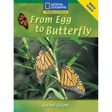 From Egg to Butterfly (National Geographic Windows on Literacy, Fluent: Math in Science)
