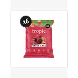 Fropie Karışık Kuruyemiş - Omega 3 Mix 40 gr x6