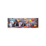Frozen Disney Lisanslı İlkokul Çantası, Forever Sisters Okul Seti, Çok Renkli