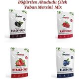 Fruvivo Dondurularak Kurutulmuş, Böğürtlen, Ahududu, Çilek, Yaban Mersini Mix Paket, Kurutulmuş Meyveler - 4 Adet