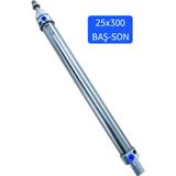Fsm Group Kenar Bantlama Makinası Başson Pistonu 25X300 - 25X300 BAŞSON