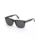 FT 0775 Stephenson 52A 56 Tom Ford Güneş Gözlüğü