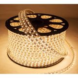 Fuji LED Dış Mekan IP65 120 Ledli Şerit Hortum LED 220 V Tak Çalıştır - 5 m - Gün Işığı