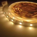Fujika Şerit LED - 2 m - Gün Işığı