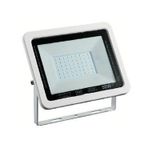 Fujiled Smd Led Projektör 50W 10/30V 100W