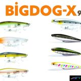 Fujin Big Dog-X BDX-95SW 14 Maket Balık