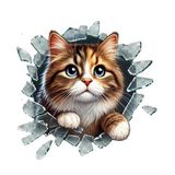 Fulcar Stray Kedi Araç Stickerı 3D Tasarım 10x10cm
