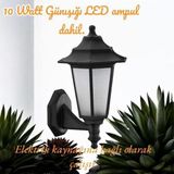 Full Reyon 10 W. Günışığı Led Ampullü, Dekoratif Bahçe, Balkon, Teras, Kapı Giriş Apliği, Bahçe Duvar Armatürü