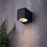 Full Reyon Dekoratif 7 Watt Gün Işığı Ledli Duvar Apliği