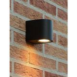 Full Reyon Gün Işığı Ledli Bahçe Balkon Teras Veranda Kamelya Apliği Bahçe Duvar Apliği